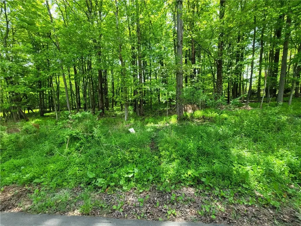 39 Mager Avenue Liberty NY 12754