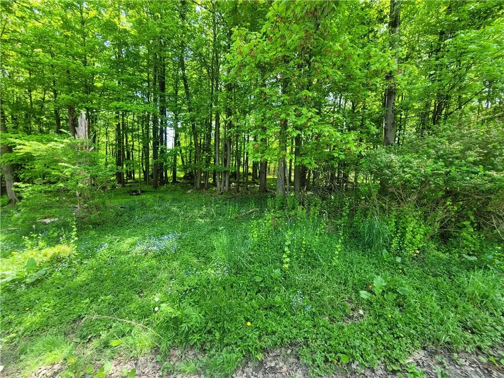 39 Mager Avenue Liberty NY 12754