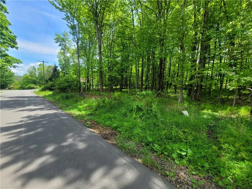39 Mager Avenue Liberty NY 12754