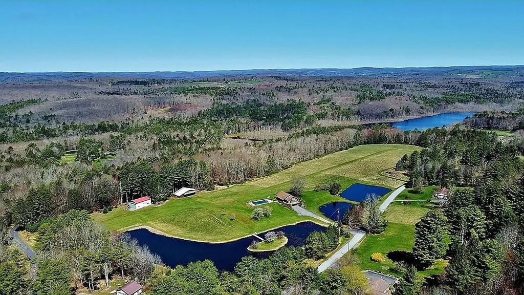239 Mitchell Pond Road E Cochecton NY 12726