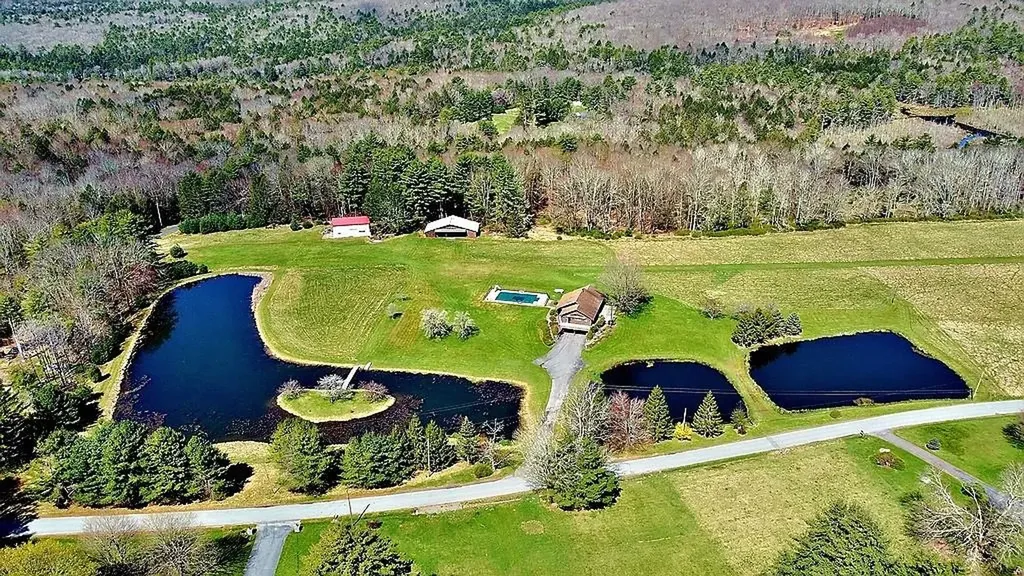 239 Mitchell Pond Road E Cochecton NY 12726