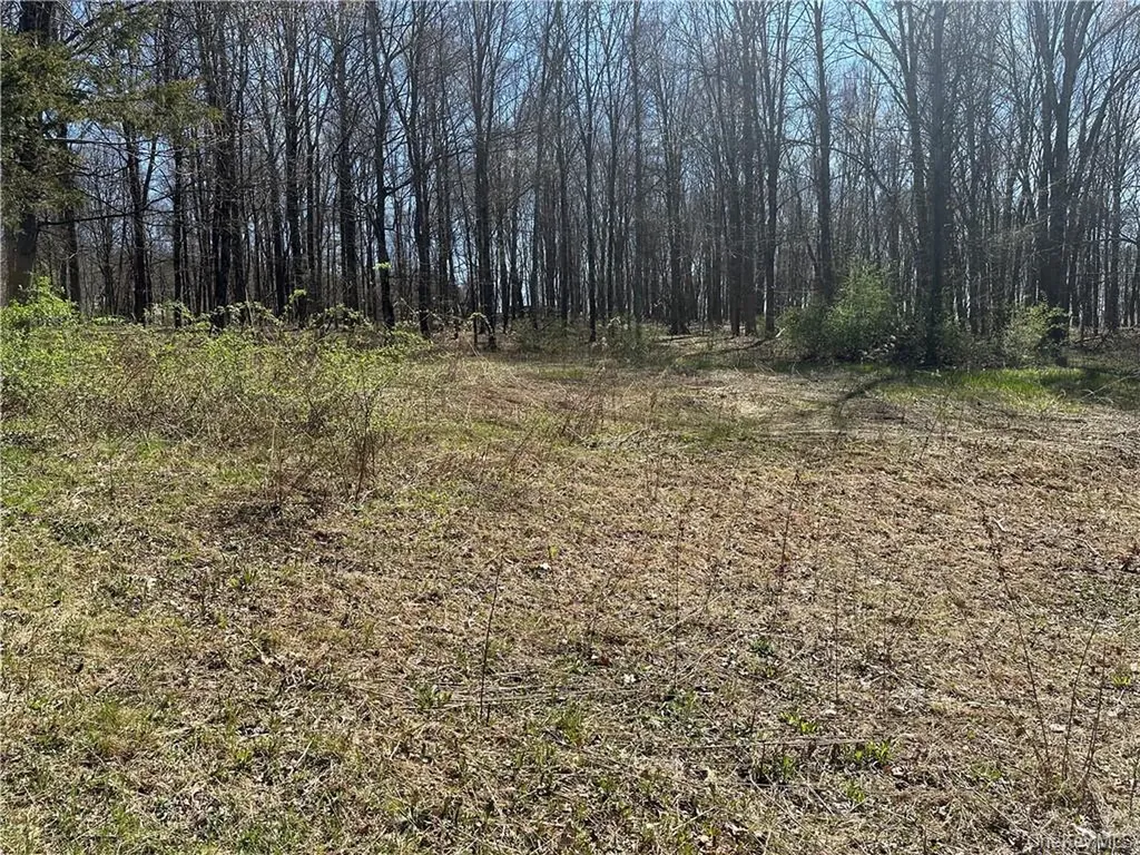 Cronk Road Wallkill NY 12589
