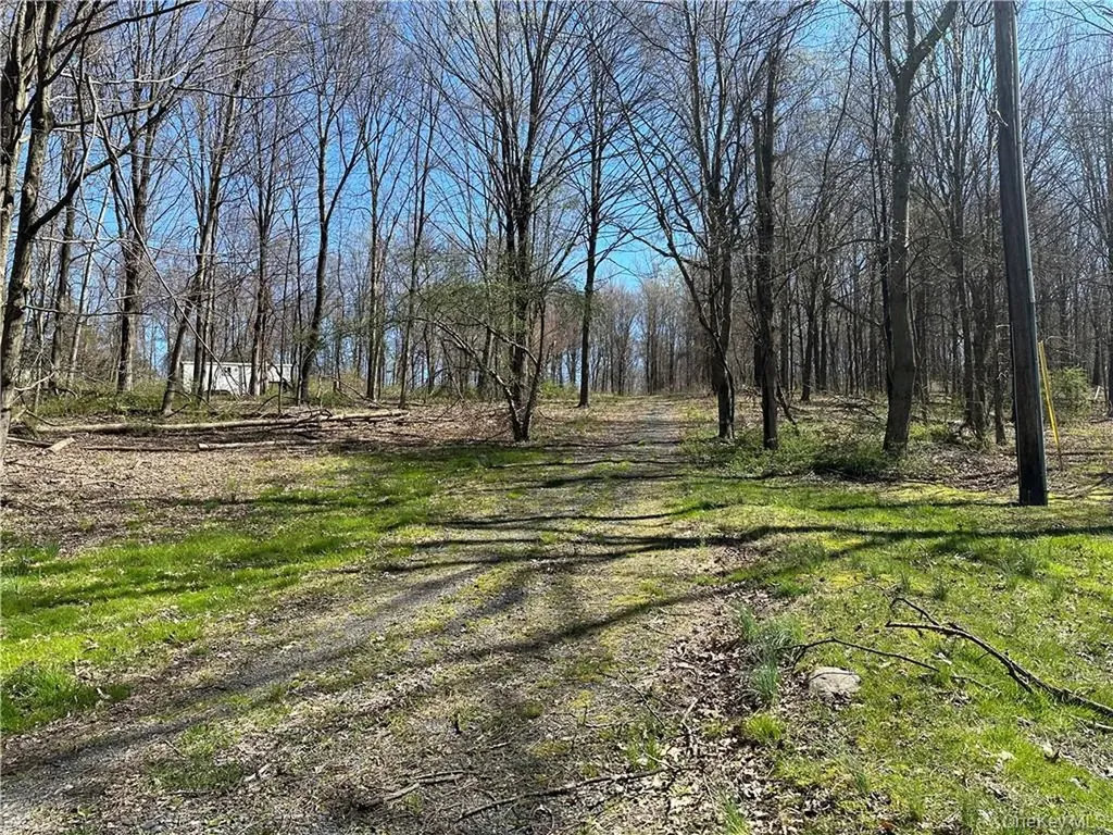 Cronk Road Wallkill NY 12589