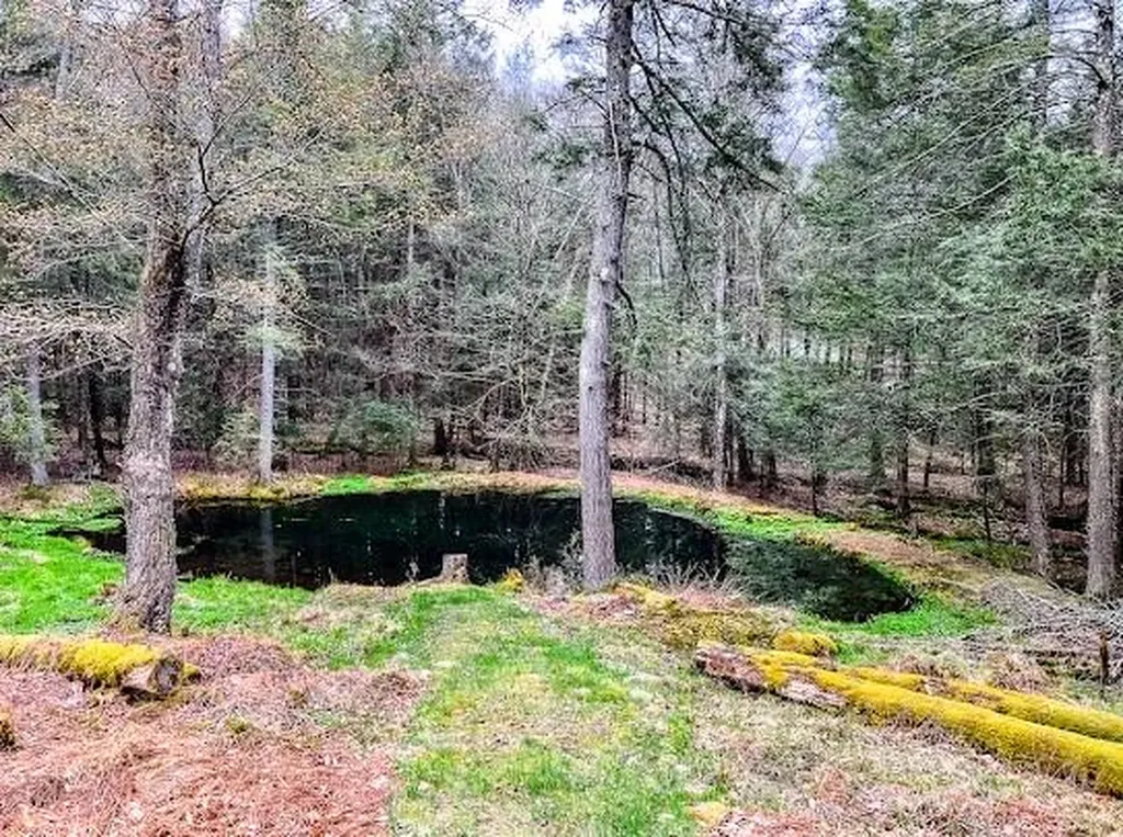 160 Schumway Road Neversink NY 12765