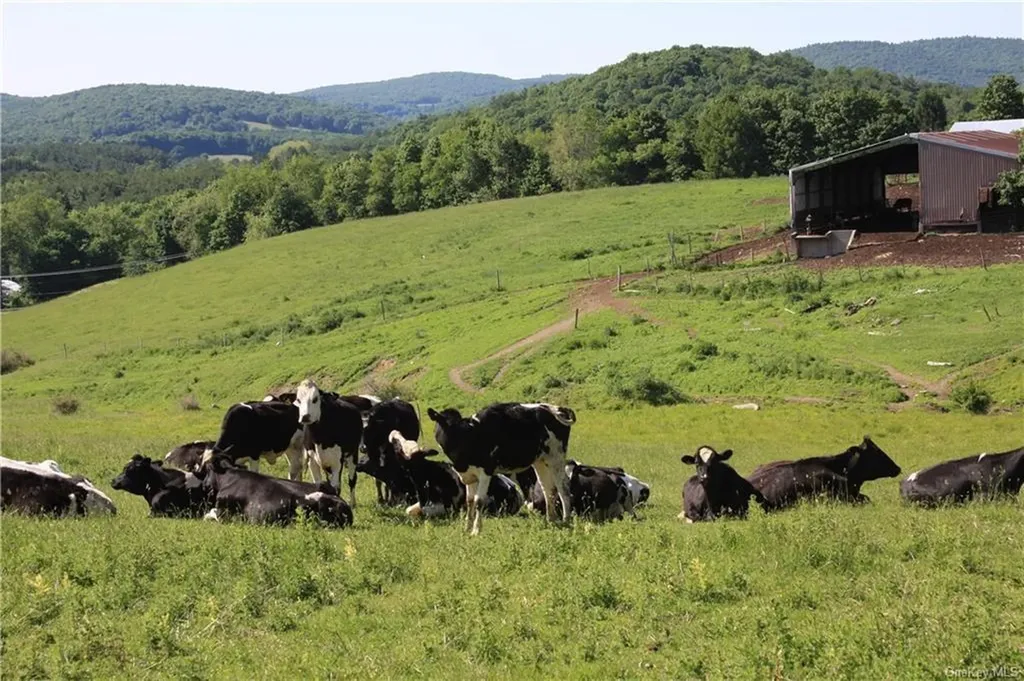 Yonderview Road Hillsdale NY 12529