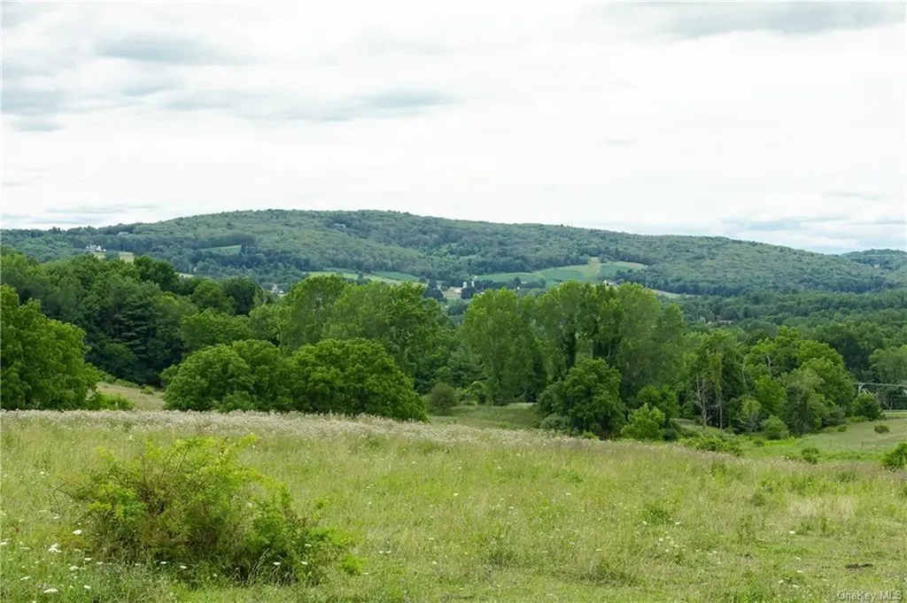 Yonderview Road Hillsdale NY 12529