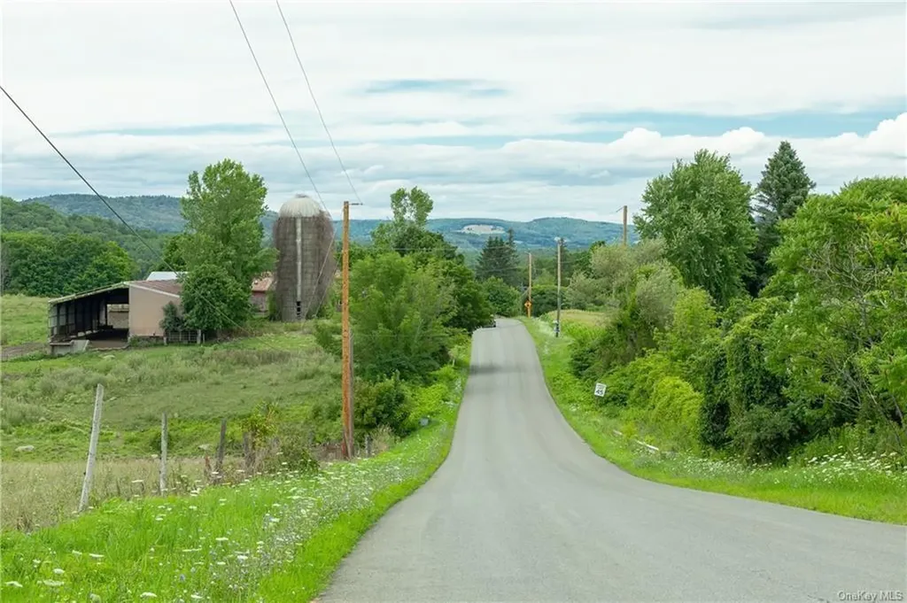 Yonderview Road Hillsdale NY 12529