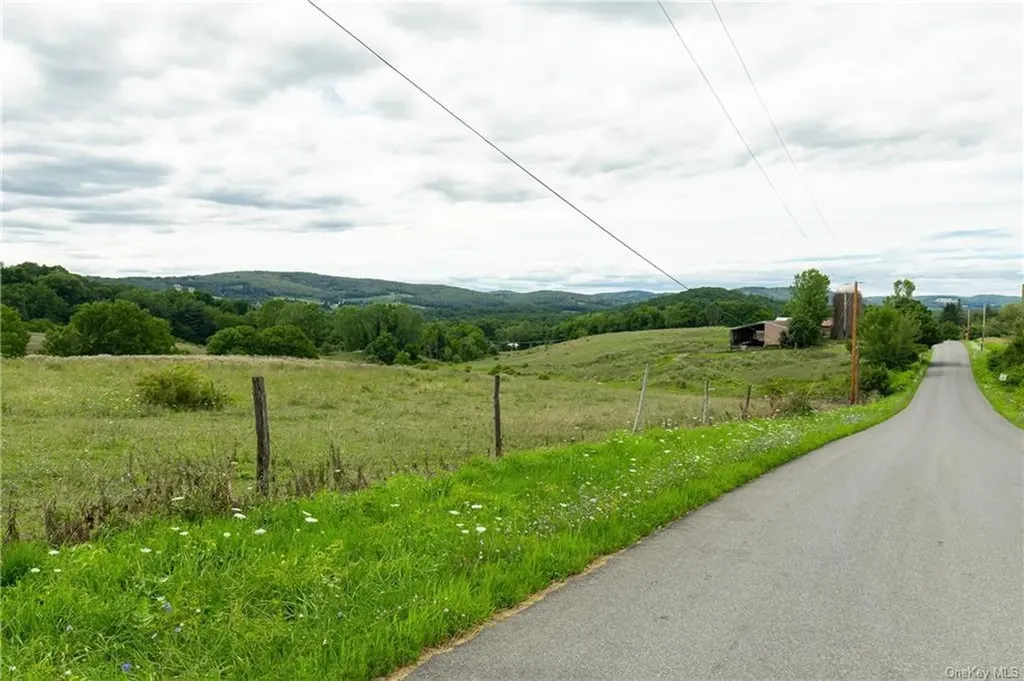 Yonderview Road Hillsdale NY 12529