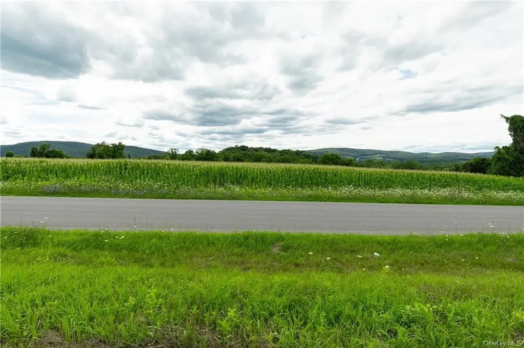 Yonderview Road Hillsdale NY 12529