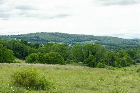 Yonderview Road Hillsdale NY 12529