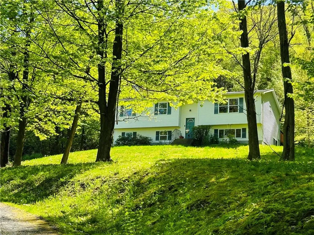 37 Deer Ridge Road Dover NY 12594