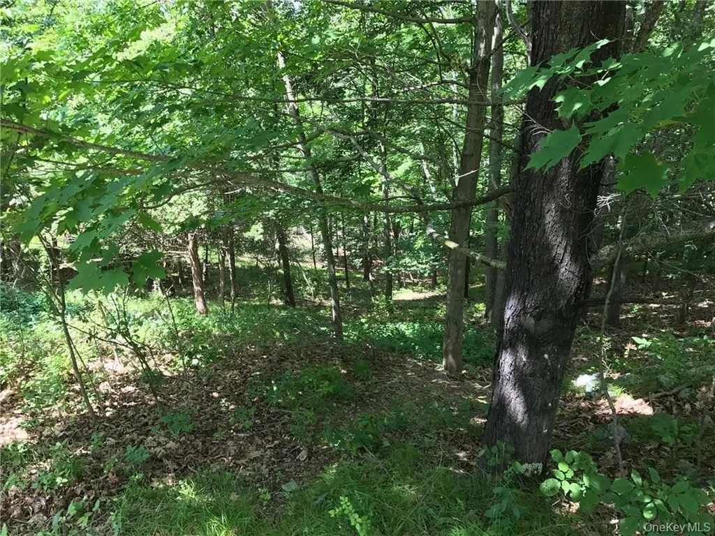 County Route 7 Ancram NY 12567
