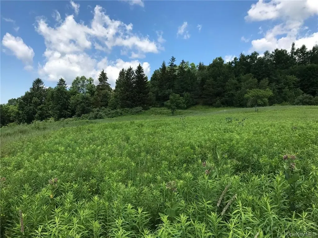 County Route 7 Ancram NY 12567