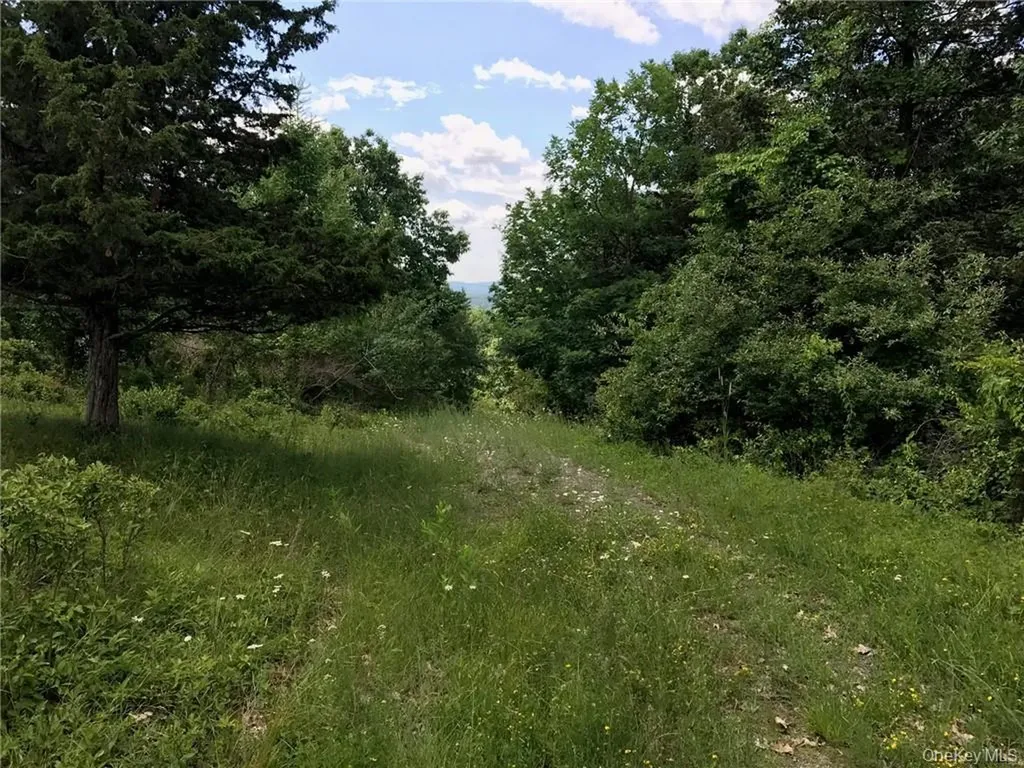 County Route 7 Ancram NY 12567