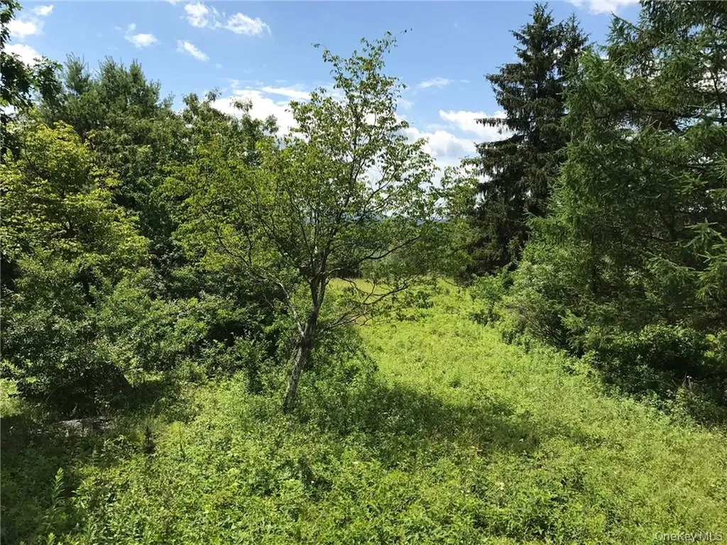 County Route 7 Ancram NY 12567