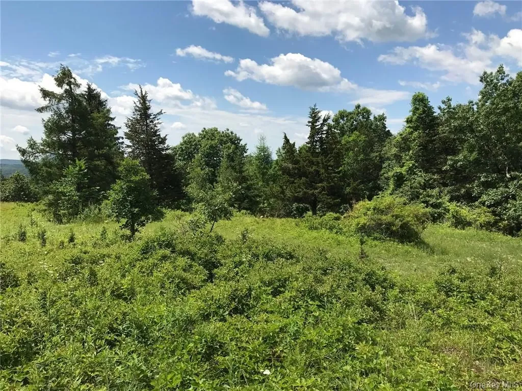 County Route 7 Ancram NY 12567