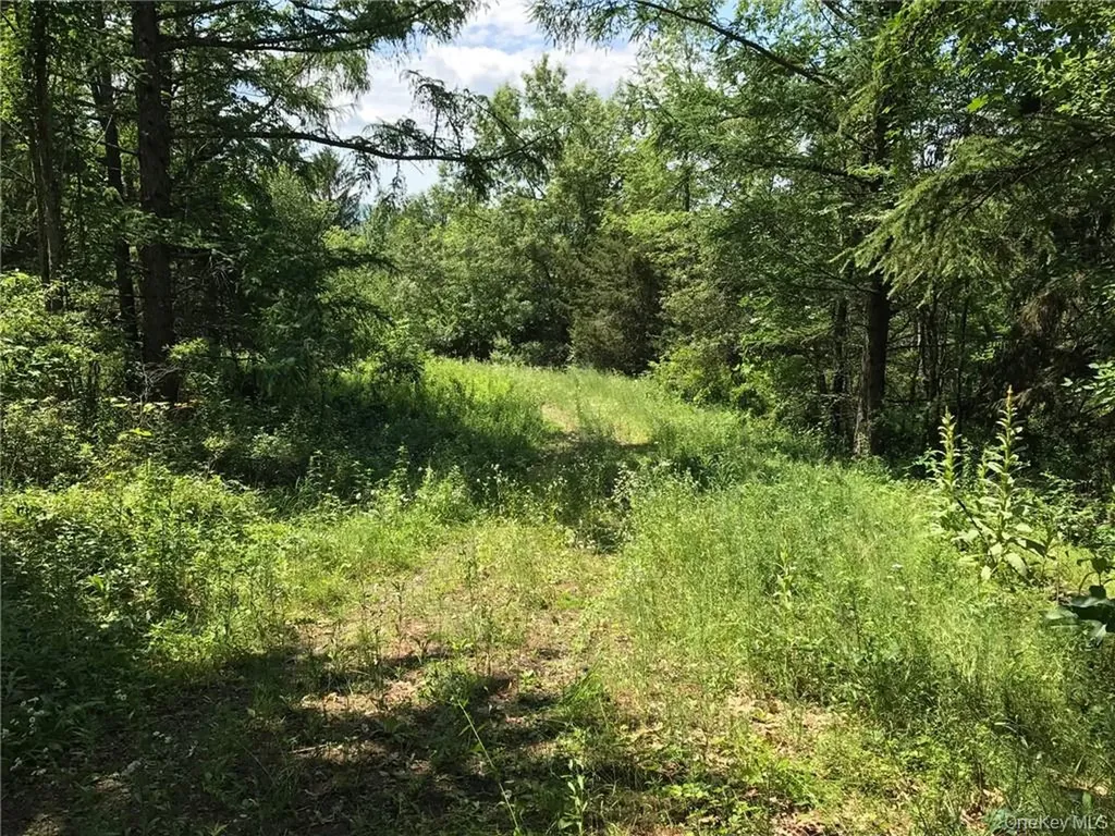 County Route 7 Ancram NY 12567