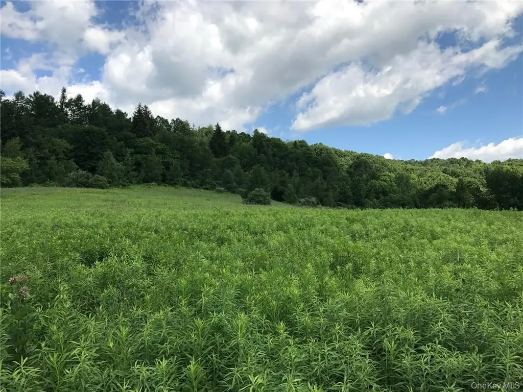 County Route 7 Ancram NY 12567