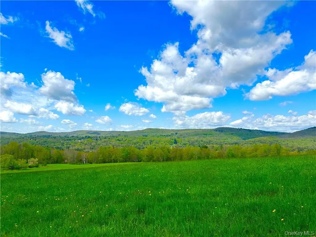 6049 State Route 55 Liberty NY 12754