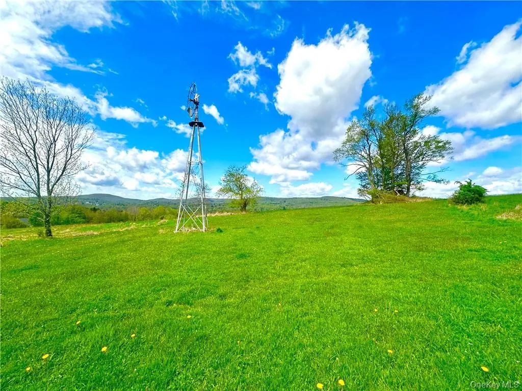 6049 State Route 55 Liberty NY 12754