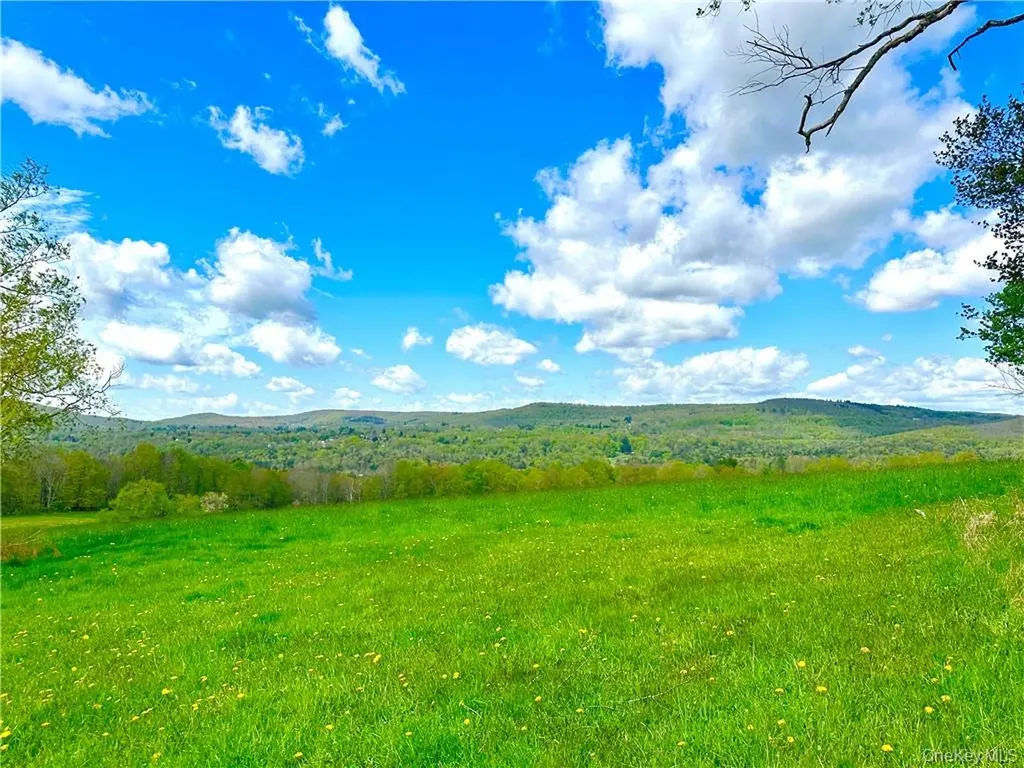 6049 State Route 55 Liberty NY 12754