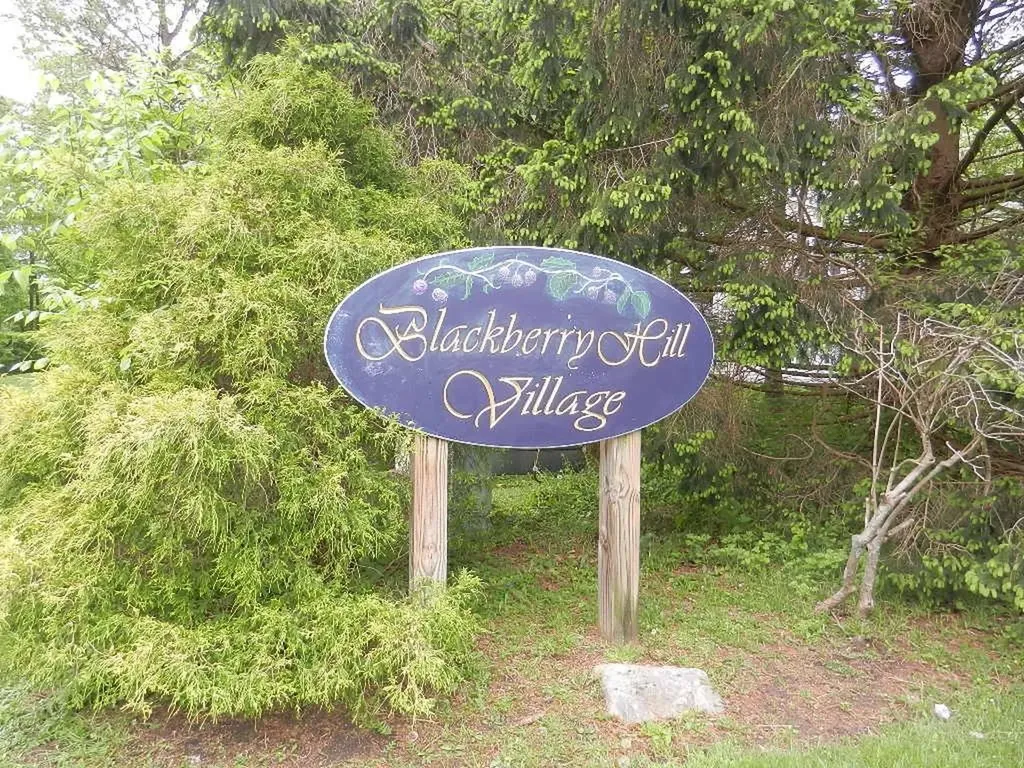1003 Village Drive Brewster NY 10509