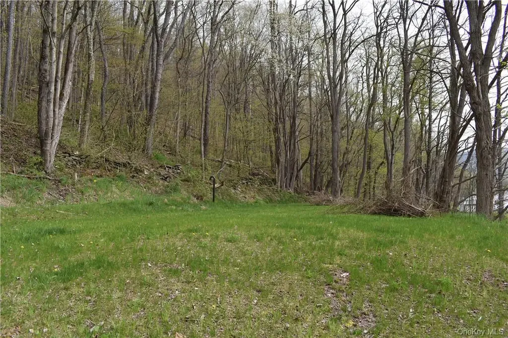 29735 State Highway 10 Walton NY 13856