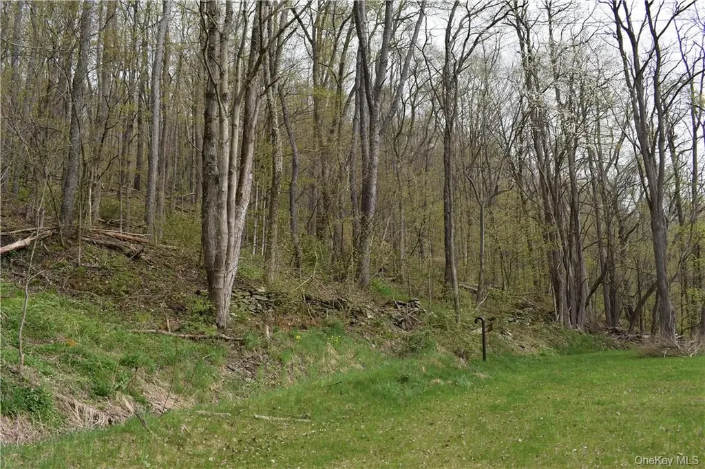 29735 State Highway 10 Walton NY 13856