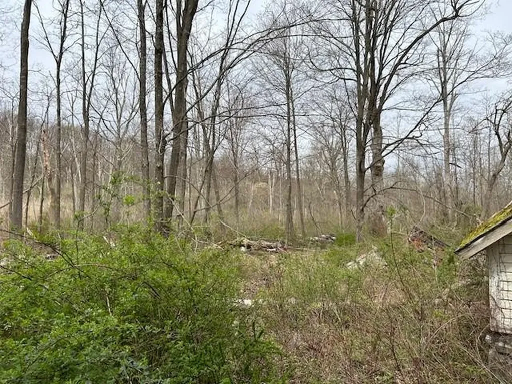 149 Dixon Road Carmel NY 10512