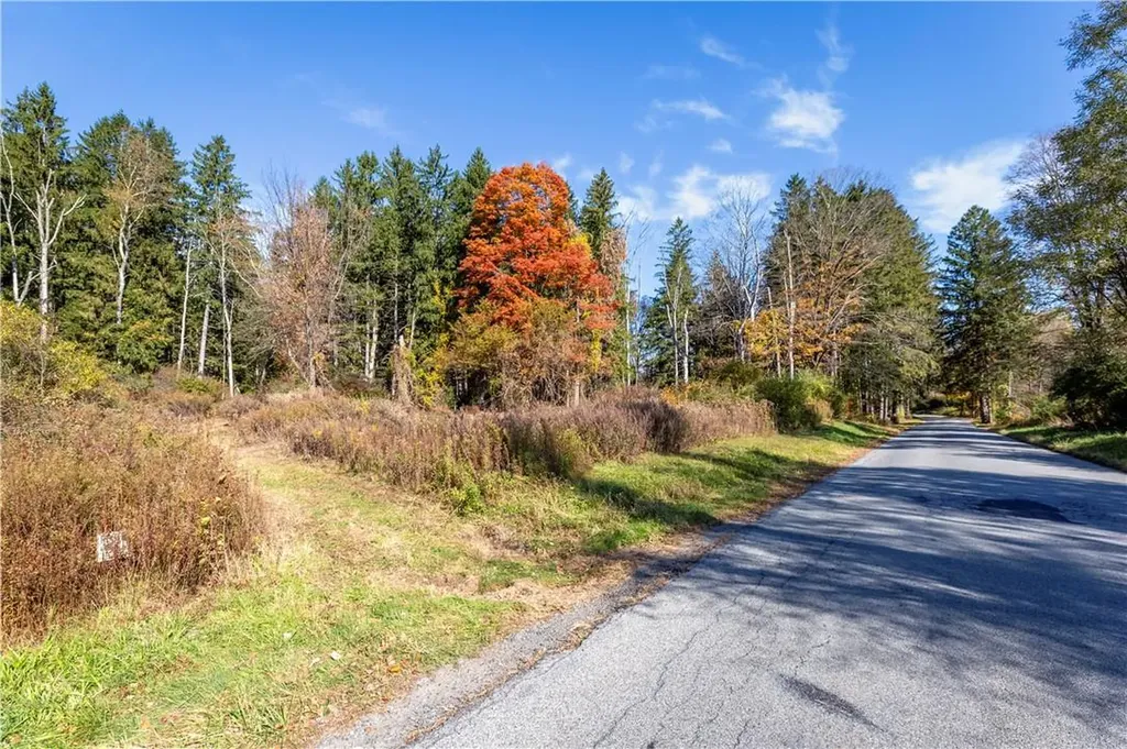 Lot #2 Dodge Road Pawling NY 12564