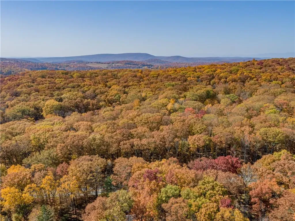 599 Bean River Road Millerton NY 12546