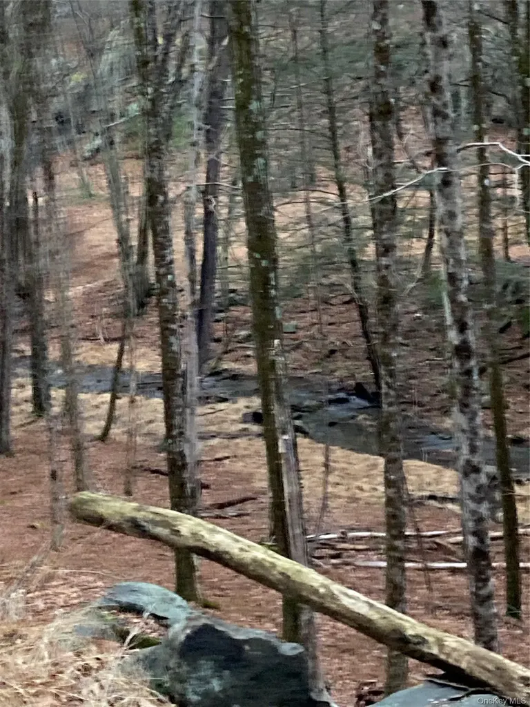 Red Hill Road Wurtsboro NY 12790