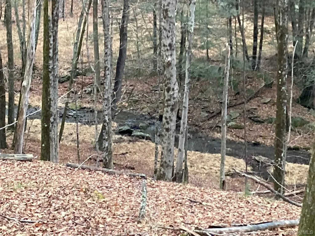 Red Hill Road Wurtsboro NY 12790