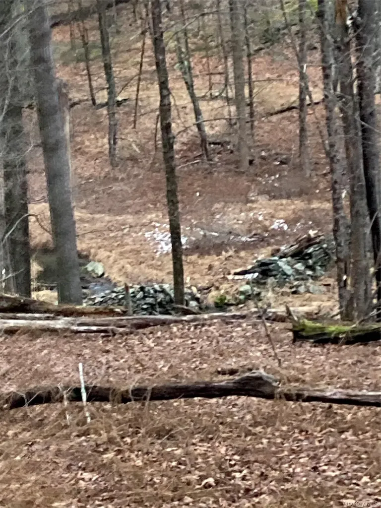 Red Hill Road Wurtsboro NY 12790