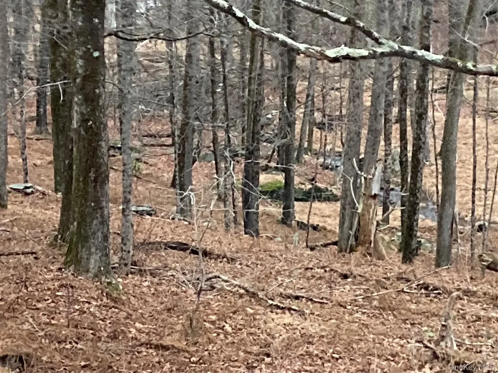 Red Hill Road Wurtsboro NY 12790