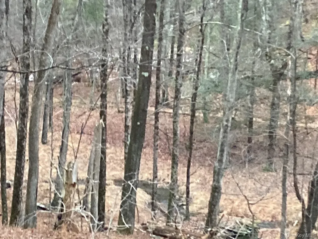 Red Hill Road Wurtsboro NY 12790