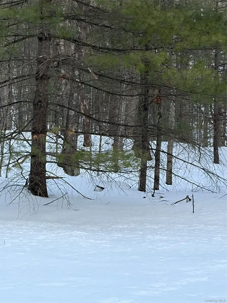 Red Hill Road Wurtsboro NY 12790