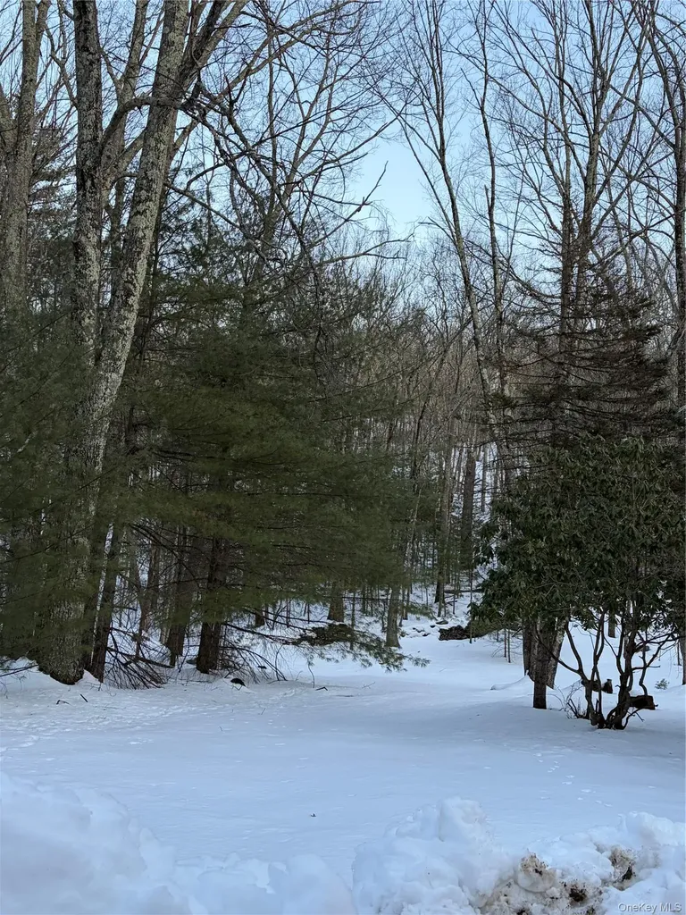 Red Hill Road Wurtsboro NY 12790