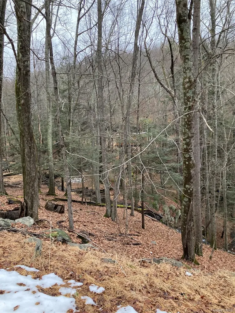Red Hill Road Wurtsboro NY 12790