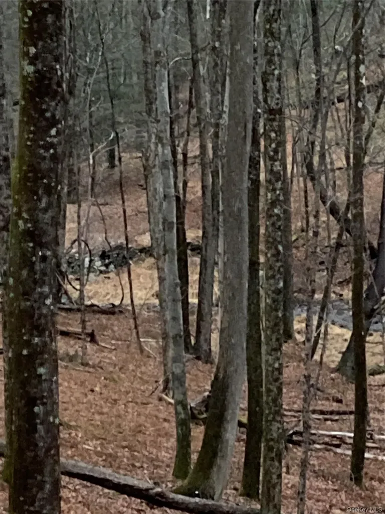 Red Hill Road Wurtsboro NY 12790
