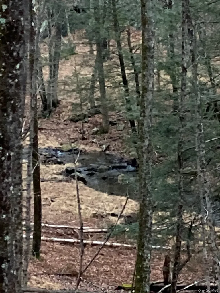 Red Hill Road Wurtsboro NY 12790