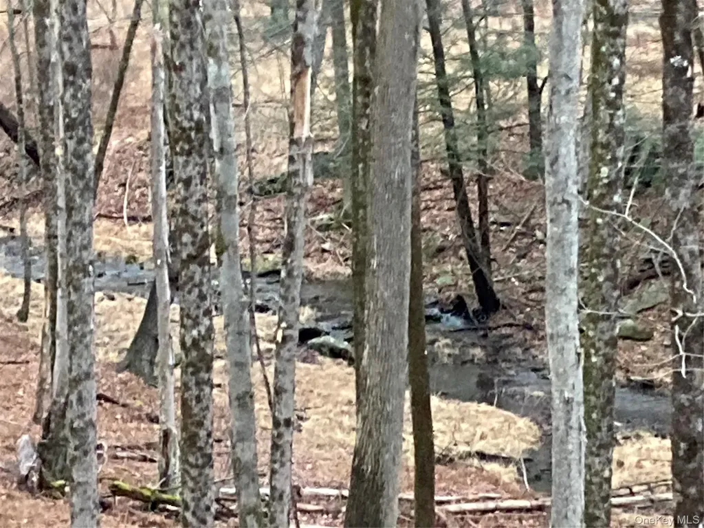 Red Hill Road Wurtsboro NY 12790
