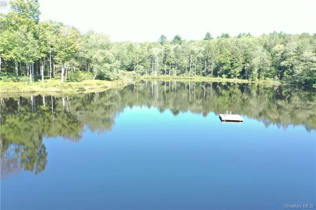 17 Gold Dan Swan Lake NY 12783