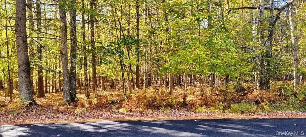 Moscoe Road Bethel NY 12786