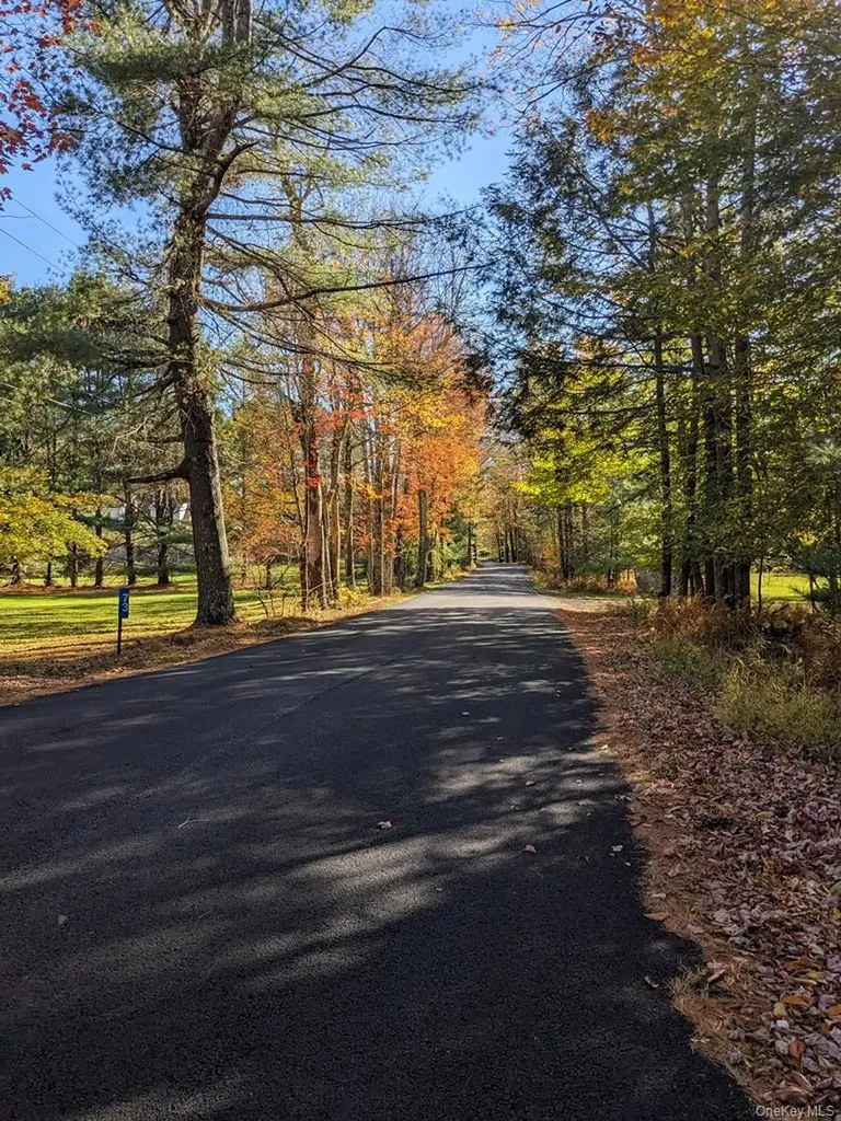 Moscoe Road Bethel NY 12786