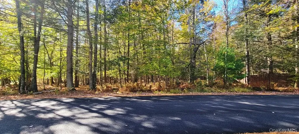 Moscoe Road Bethel NY 12786