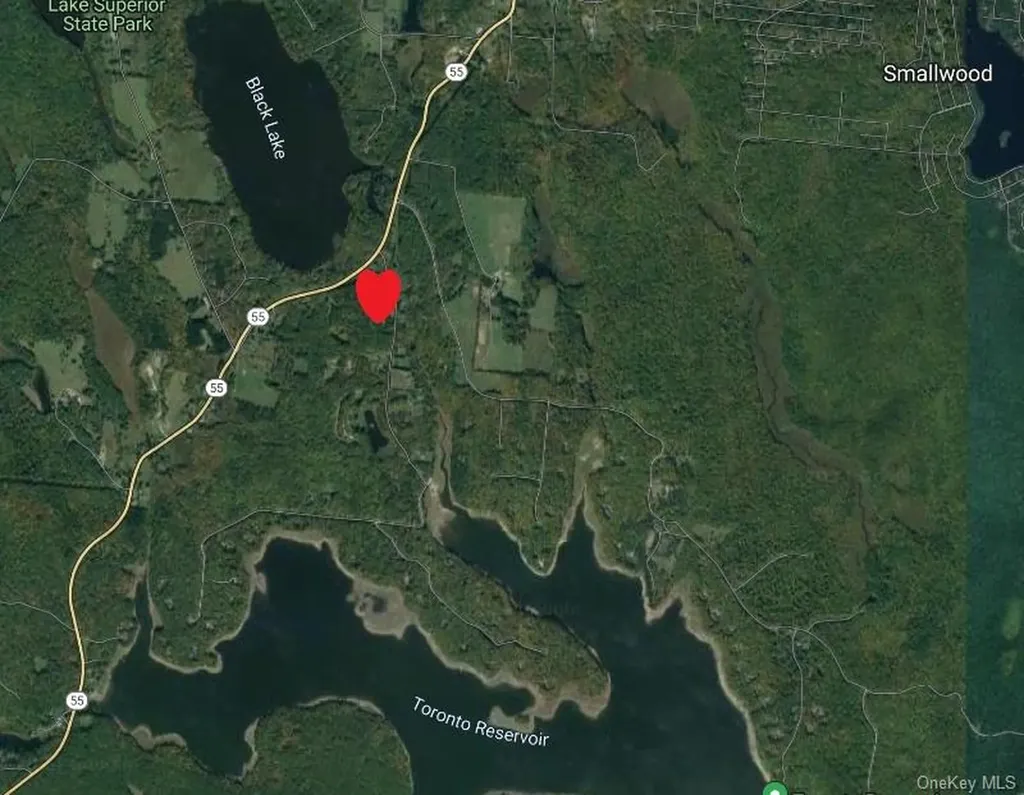 Moscoe Road Bethel NY 12786