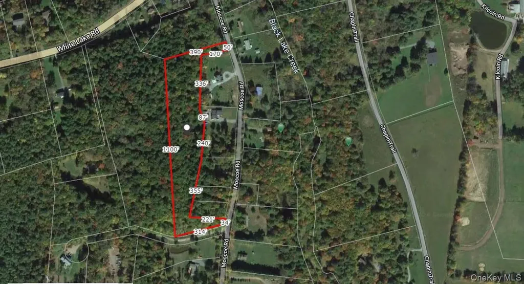 Moscoe Road Bethel NY 12786