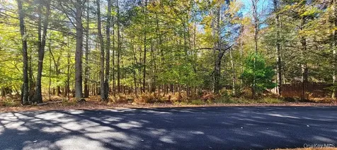 Moscoe Road Bethel NY 12786