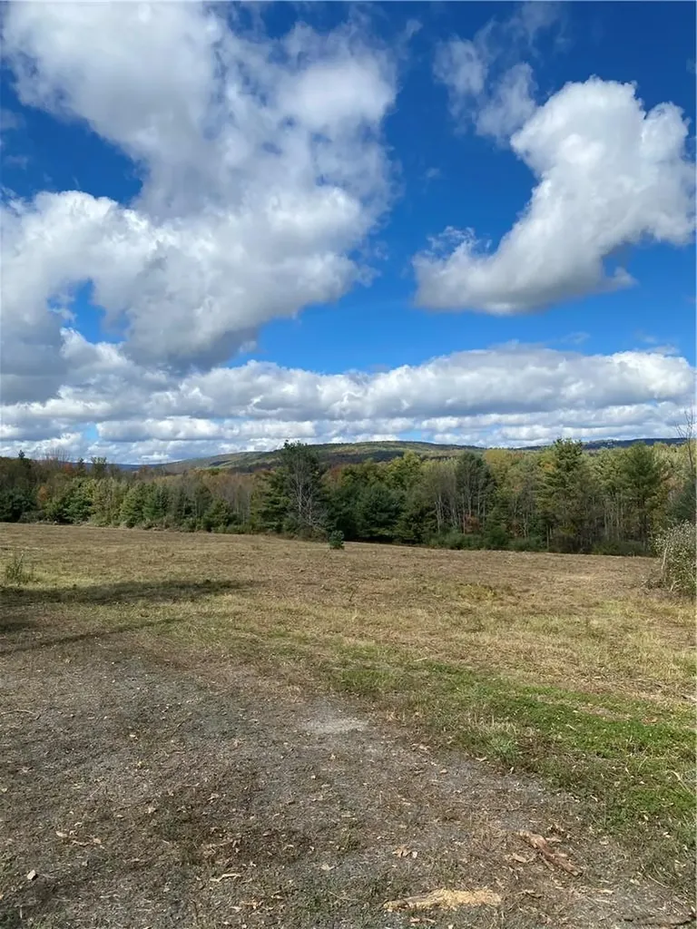Panorama Durham NY 12423